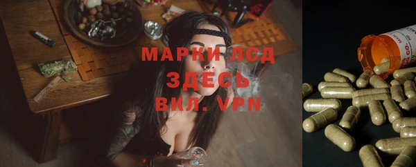 spice Алексеевка
