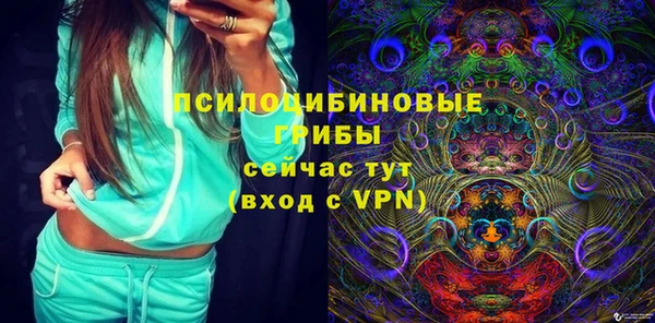 spice Алексеевка