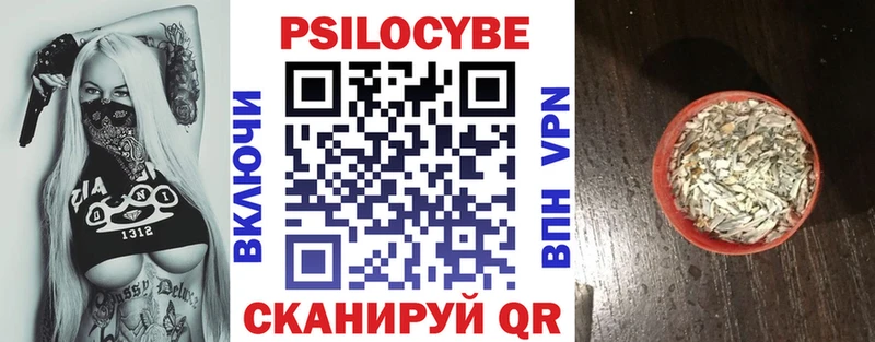 где можно купить   Пласт  Псилоцибиновые грибы прущие грибы 